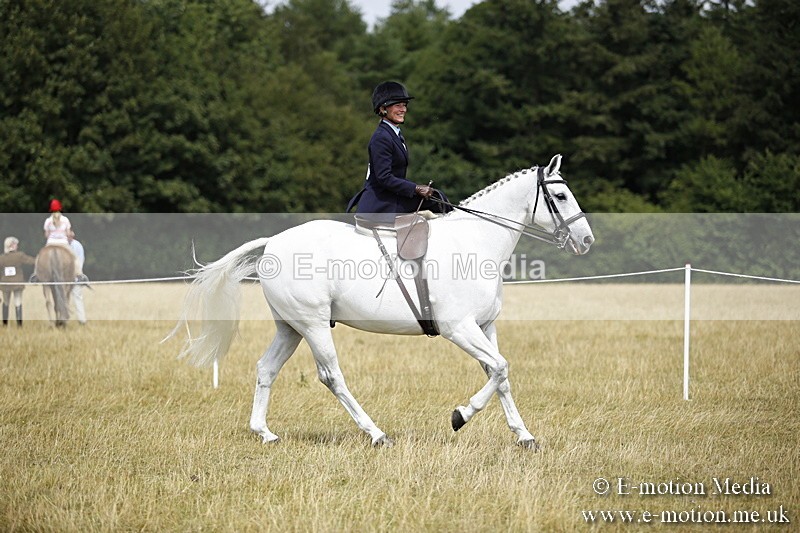 _C7A0270 - Side Saddle Classes BVRC Show 2018