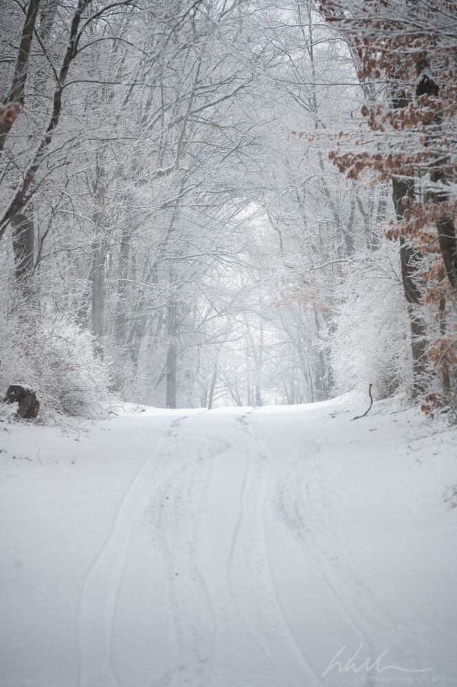 DSC_5273 - Roads