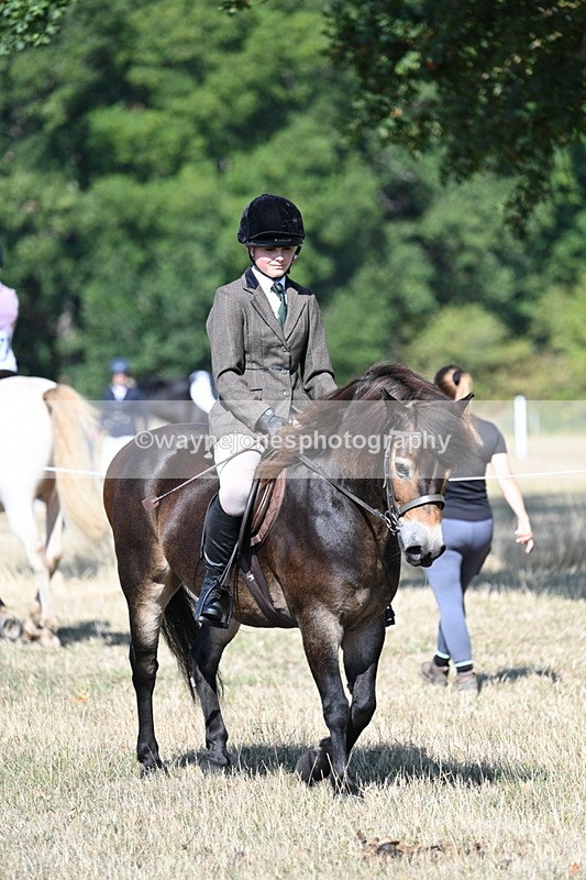 WJ7_3401 - Class 9 Mountain & Moorland Ridden