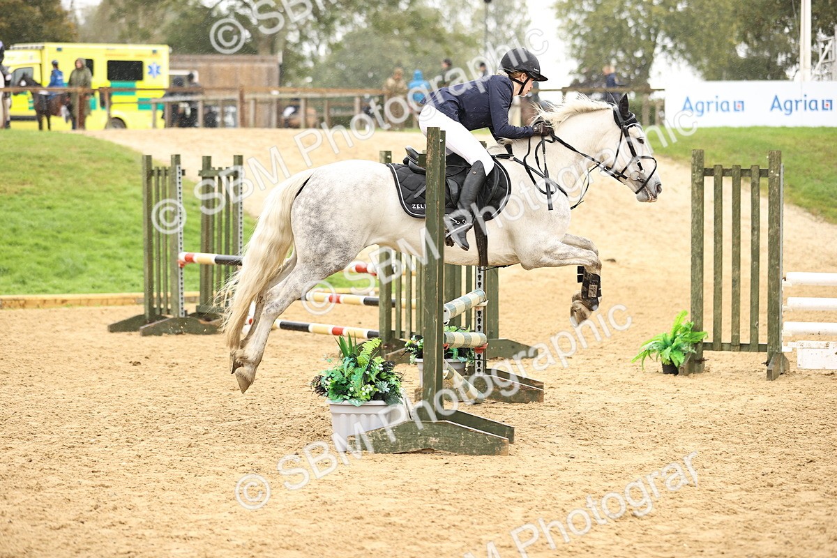 SBM_69931 - Supreme Championship 80cm 85cm