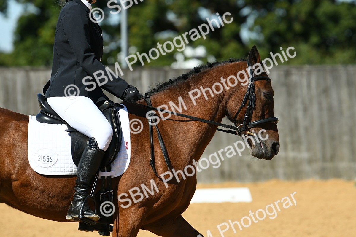 SBM_20735 - D13 - Grand Tour Championship - Prelim 12