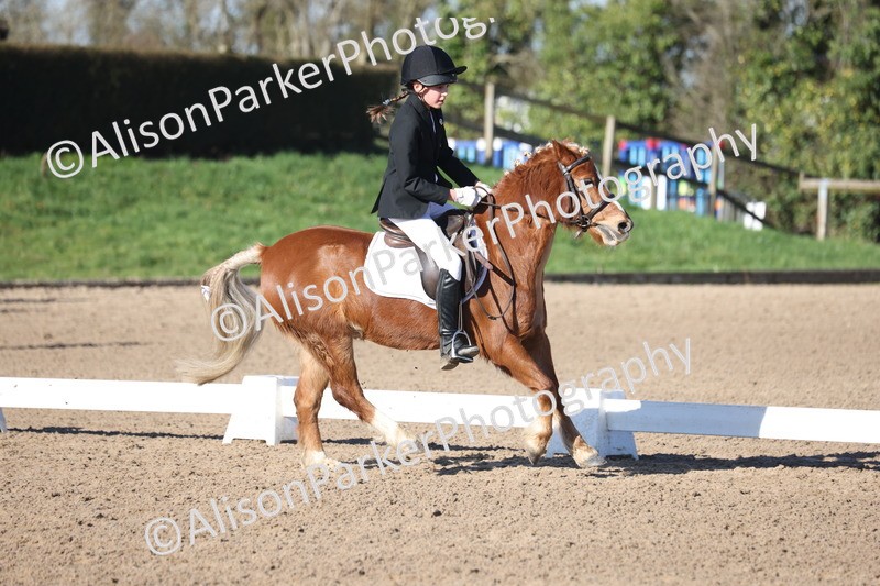 20260214-0284 - Class 3 - Prelim 2