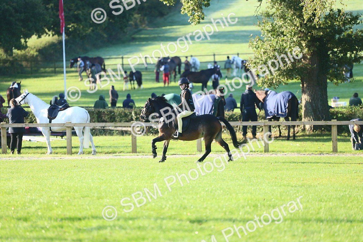 SBM_31872 - S28 - Nursery Stakes Working Hunter Pony