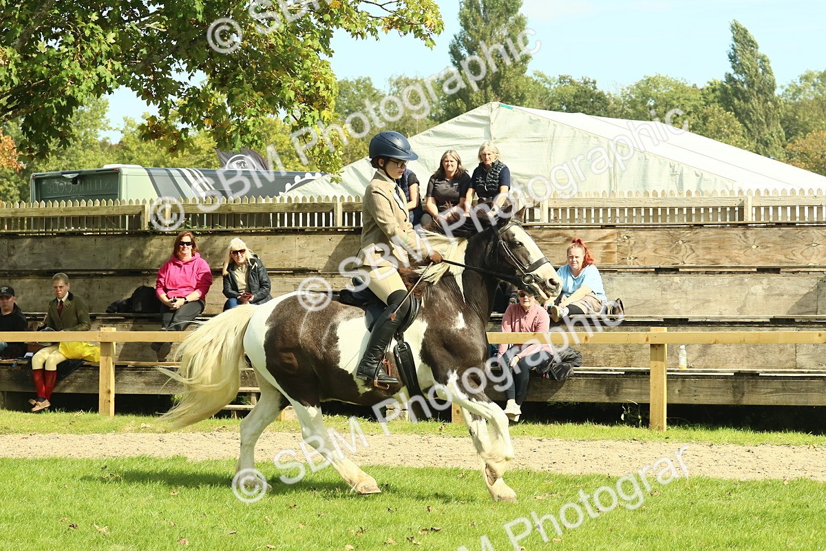 SBM_67524 - S56 - Coloured Pony Ridden