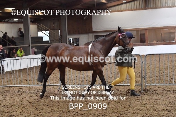 BPP_0909 - RING 2