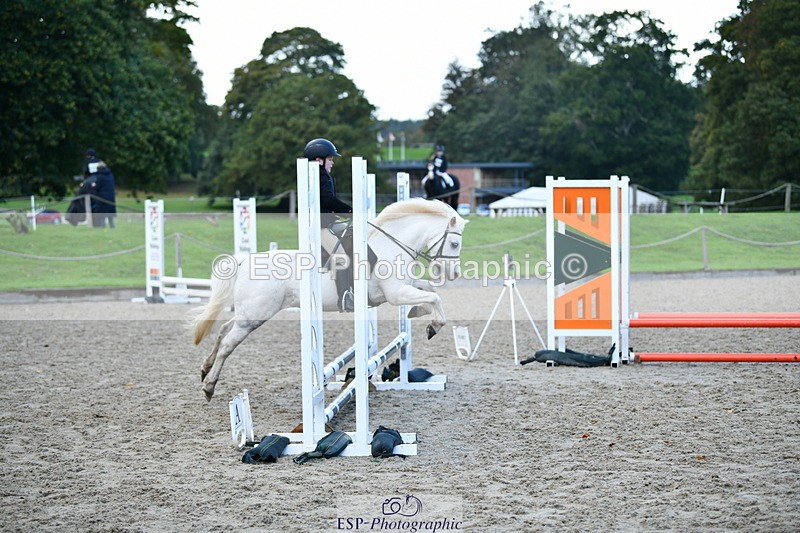 251004A-114009-00697 - Classes 4 & 5 50cm