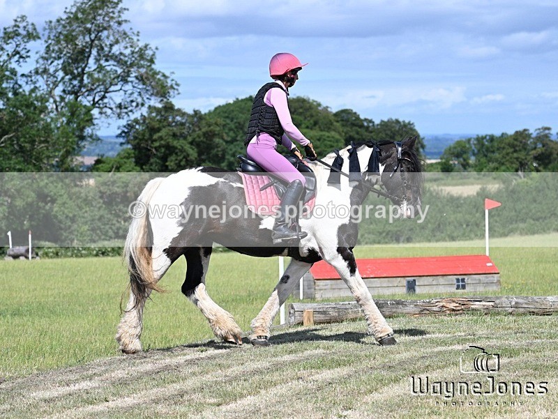 WJ7_9120 - Kellie Jade Ellie XC training with Kelly Harris 28-06-26