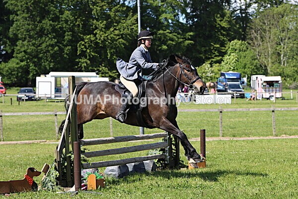 IMG_4546 - Working Hunter