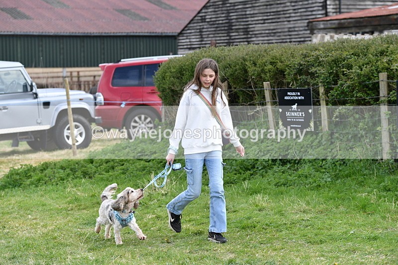 WJ5_0097 - Class 5 Best Veteran / 7 years & over