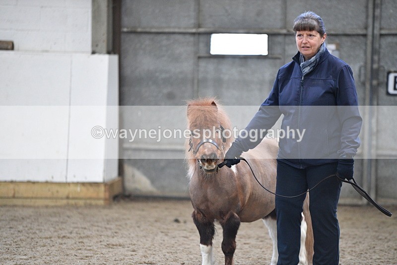 WJ5_5125 - Class 7 In hand coloured / odd coloured