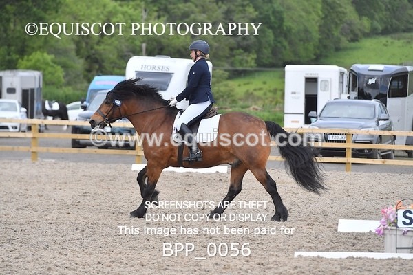 BPP_0056 - SHORT ARENA  MY QUEST PRELIM