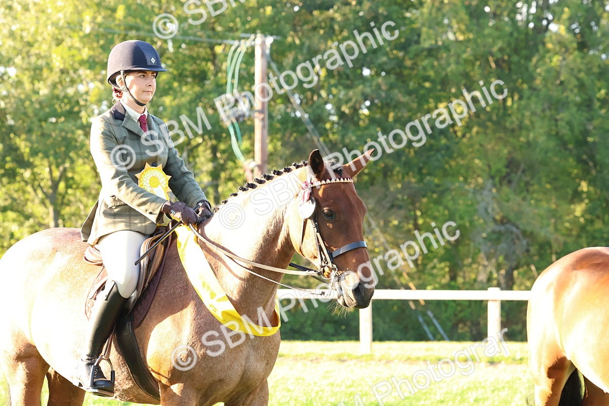SBM_53167 - Veteran Supreme Championship