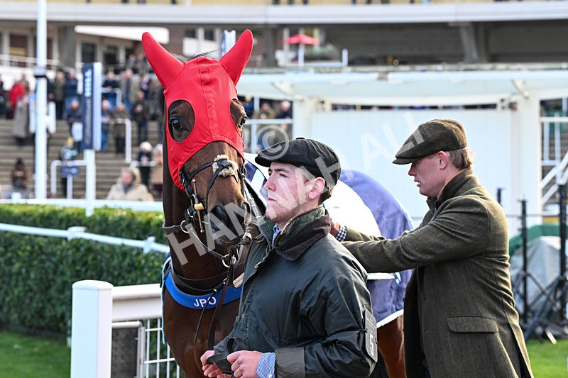 241025-Race 6-Percy Shelley-4718 - Race 6