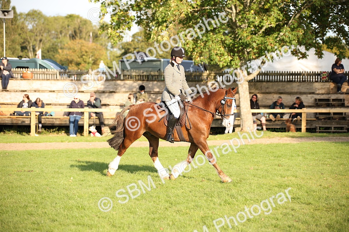 SBM_54335 - S27 - Mature Veteran - Ridden