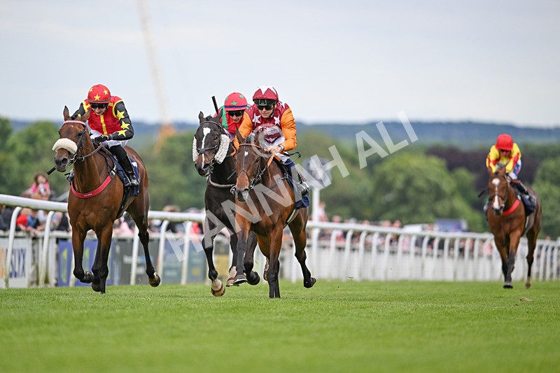 290524-Race 7-Lincoln Rockstar-6968