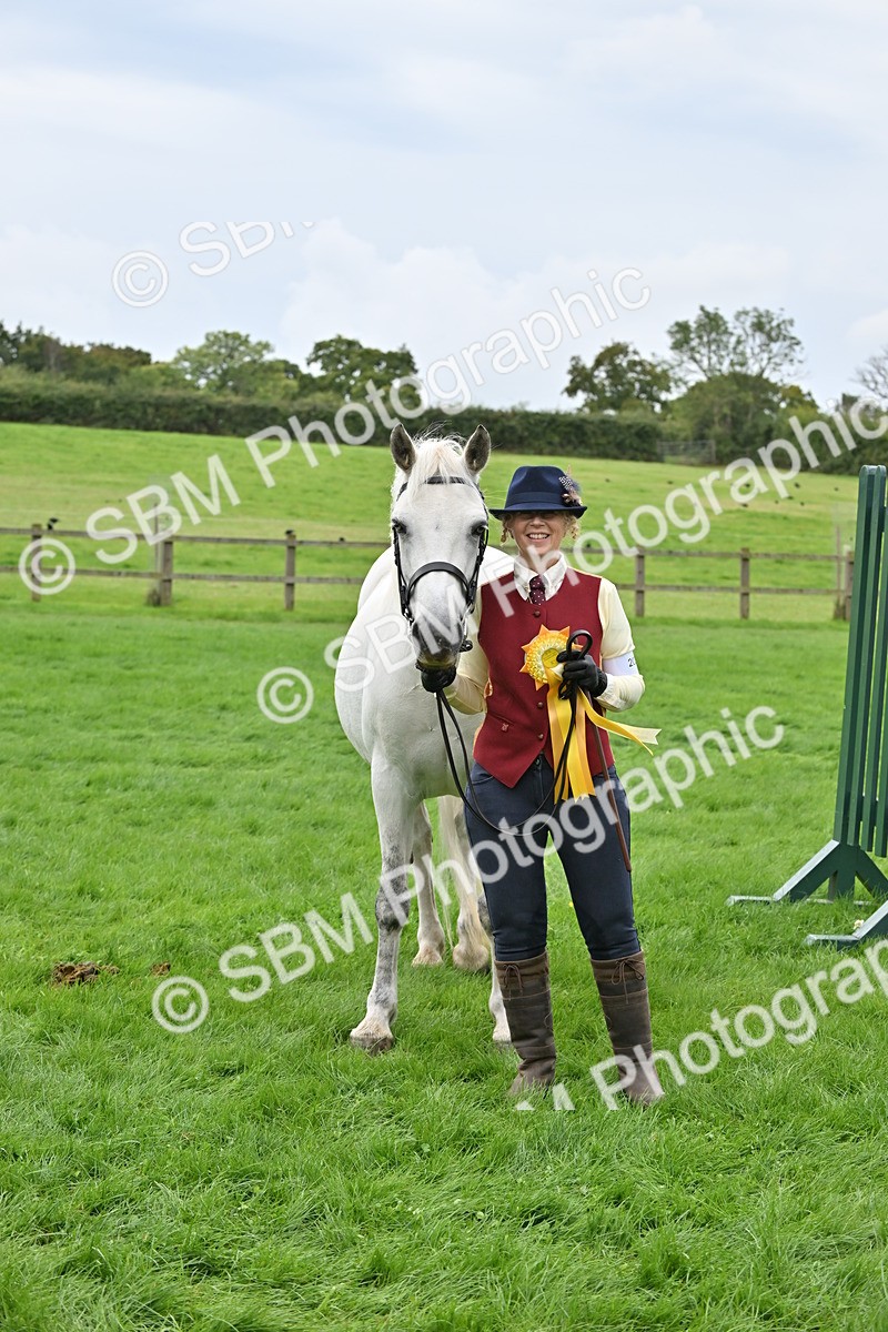 SBM_63334 - S49 - Mountain & Moorland In Hand Large Breeds