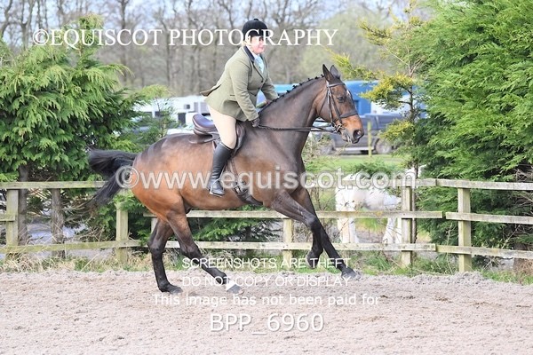 BPP_6960 - RING 1  (RIDDEN HORSES / IN HAND / VETERAN ETC)