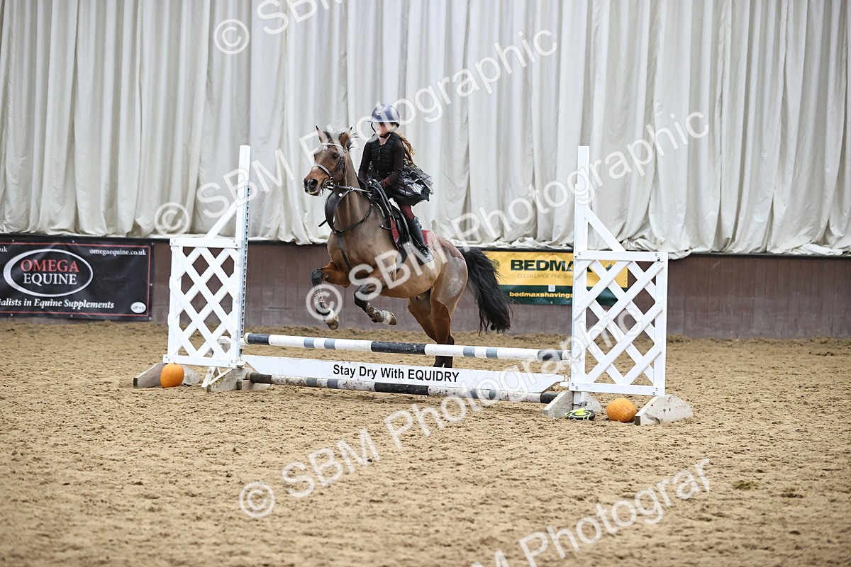 SBM_001531 - Class 3 - Horse & Hound 60cm