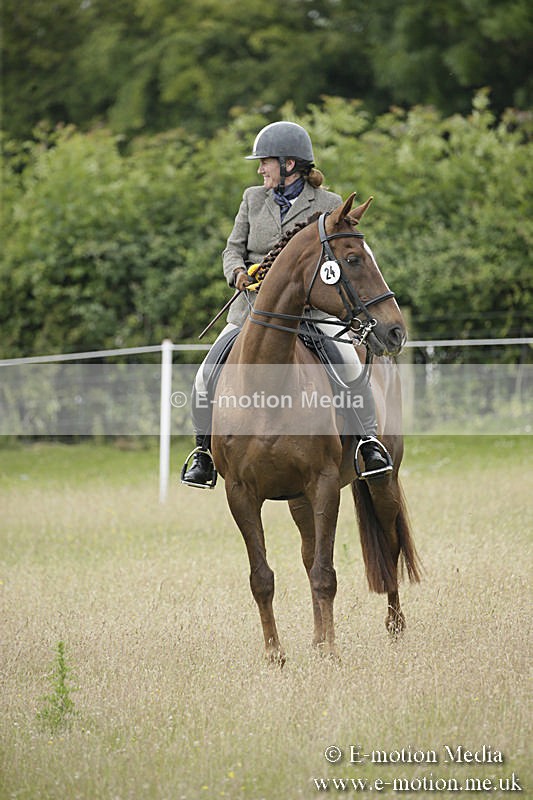B230619-0359 - Bourne Valley Riding Club Summer Show 23/06/19