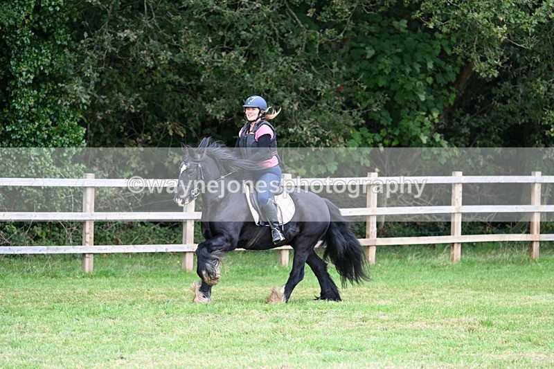 WJ7_7882 - 40cm Time 10:49 to 11:18