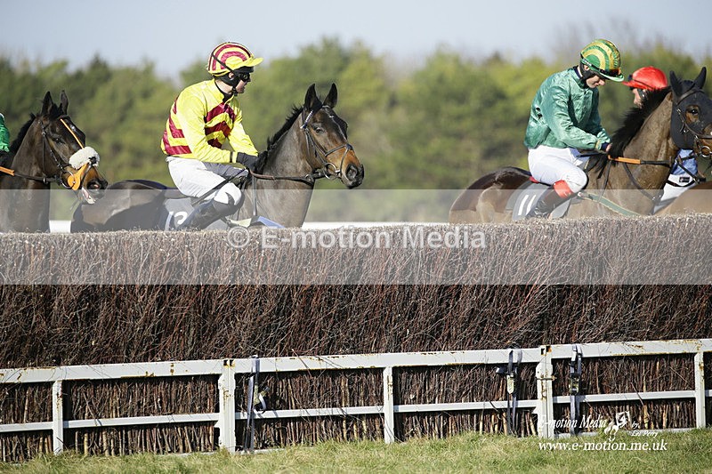 PtP 270222 278 - South & West Wilts Point-to-Point Larkhill 27/02/22