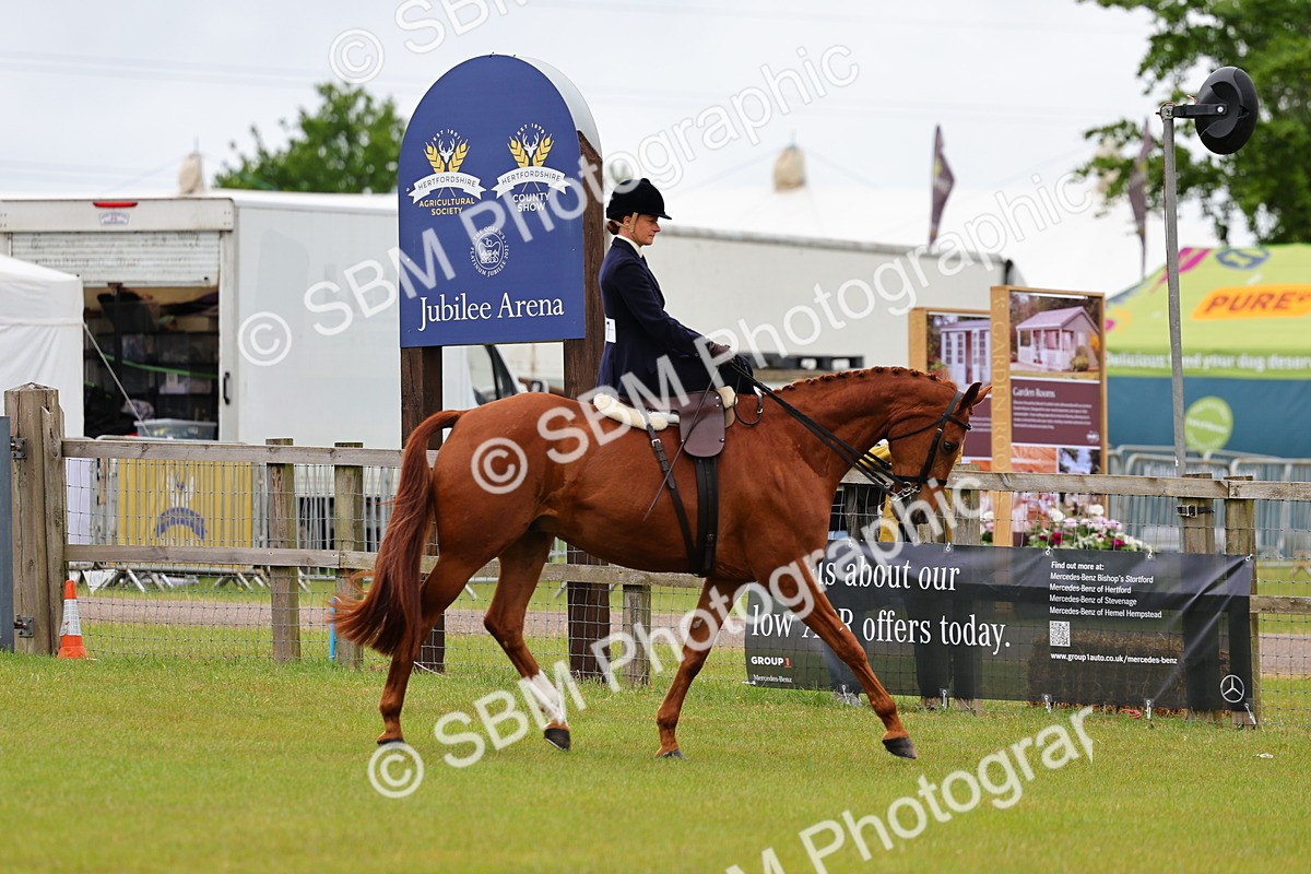 SBM_02752 - Class 9-11 Side Saddle including LIHS Rising Star Ladies Show Horse