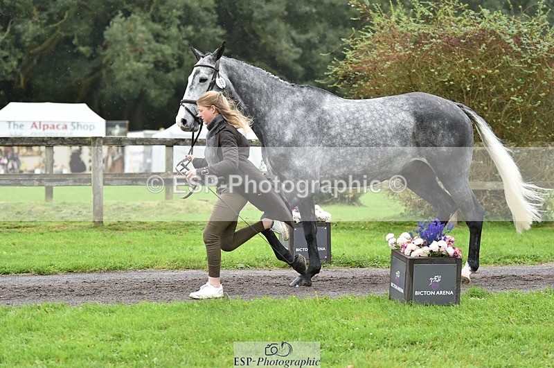 231018-124850-00541 - 068-DASSETT.PREMIER-Kate.Rocher-Smith-TrotUp