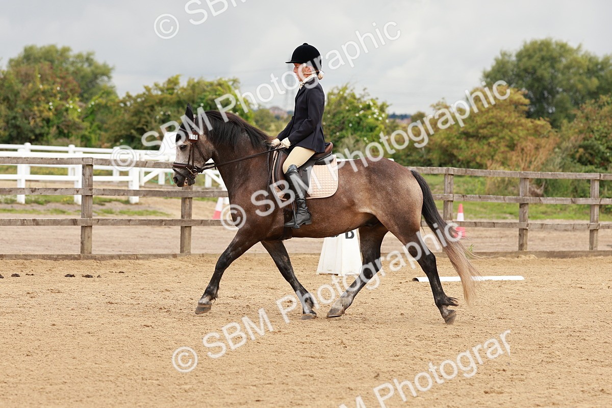 SBM_002379 - Prelim 2