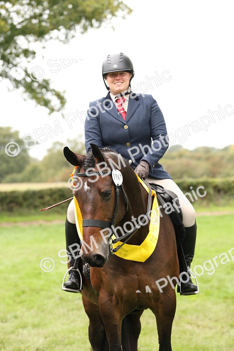 SBM_63051 - S64 - Foreign Breeds Ridden