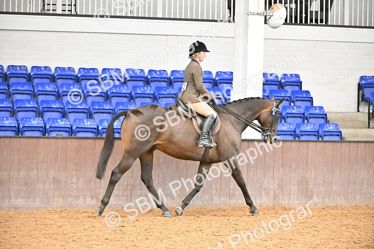 SBM_001883 - Class 25 - Tattersalls ROR Amateur Ridden