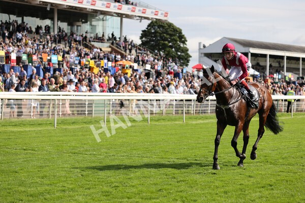 yr18082021r4-112 - Race 4 3.35pm Juddmonte International Stakes (British Champion Series race)