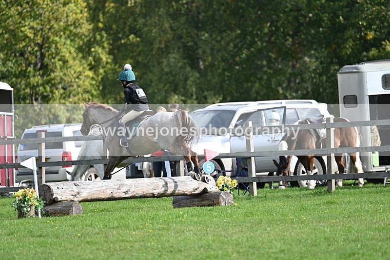 WJ7_5005 - 60cm Time 11:11 to 11:19