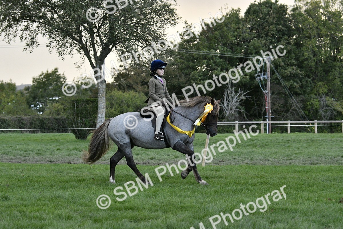 SBM_53304 - S14 - Riding Club Horse