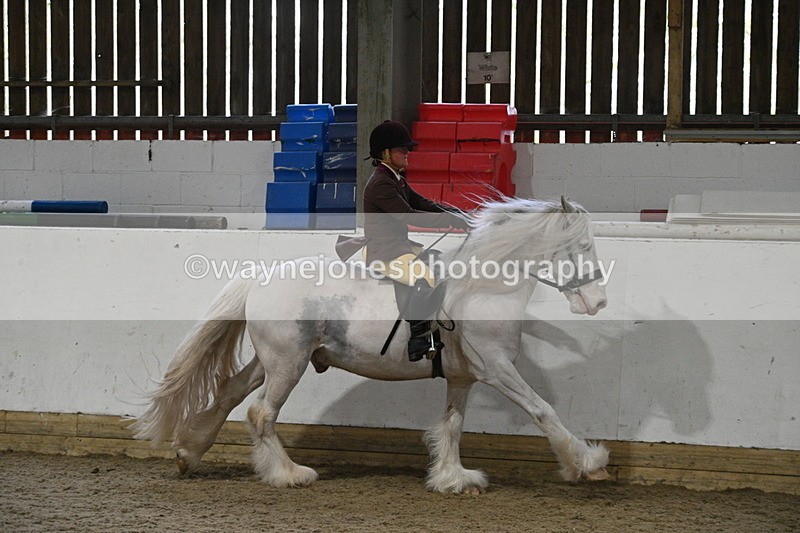WJ7_4237 - Class 17 Ridden Cob