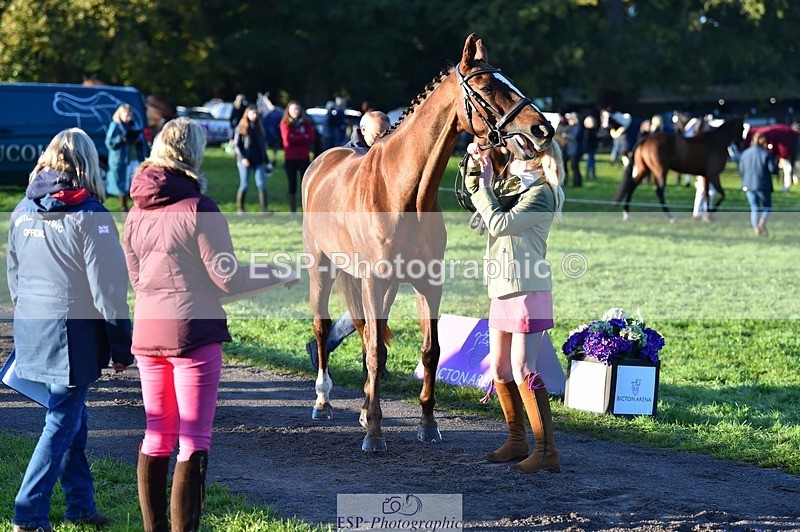 231022-085146-21407 - 654-BERNARD.BLACK-Darci.Barron-TrotUp+SJ