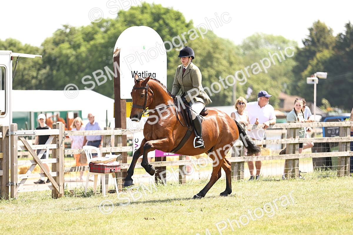 SBM_15108 - Class 79-80 - LIHS BSHA Rising Star Ridden Hunter
