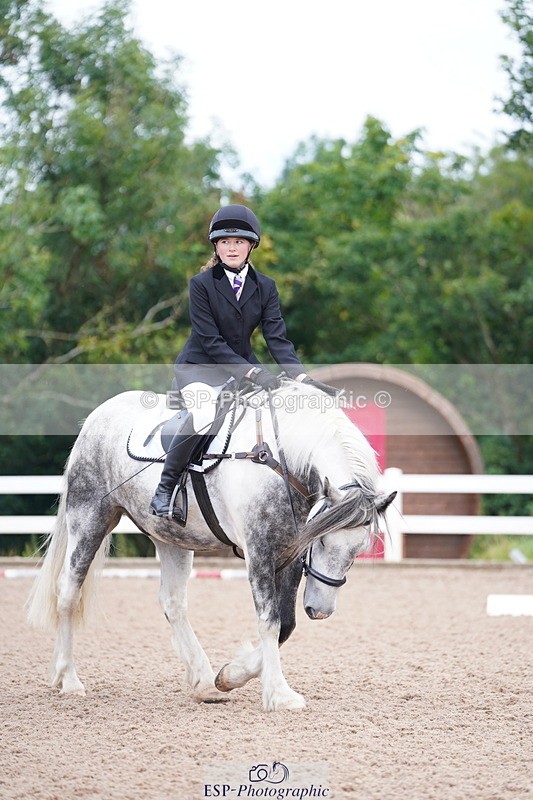 240809A-102048-00503 - Dressage Competition
