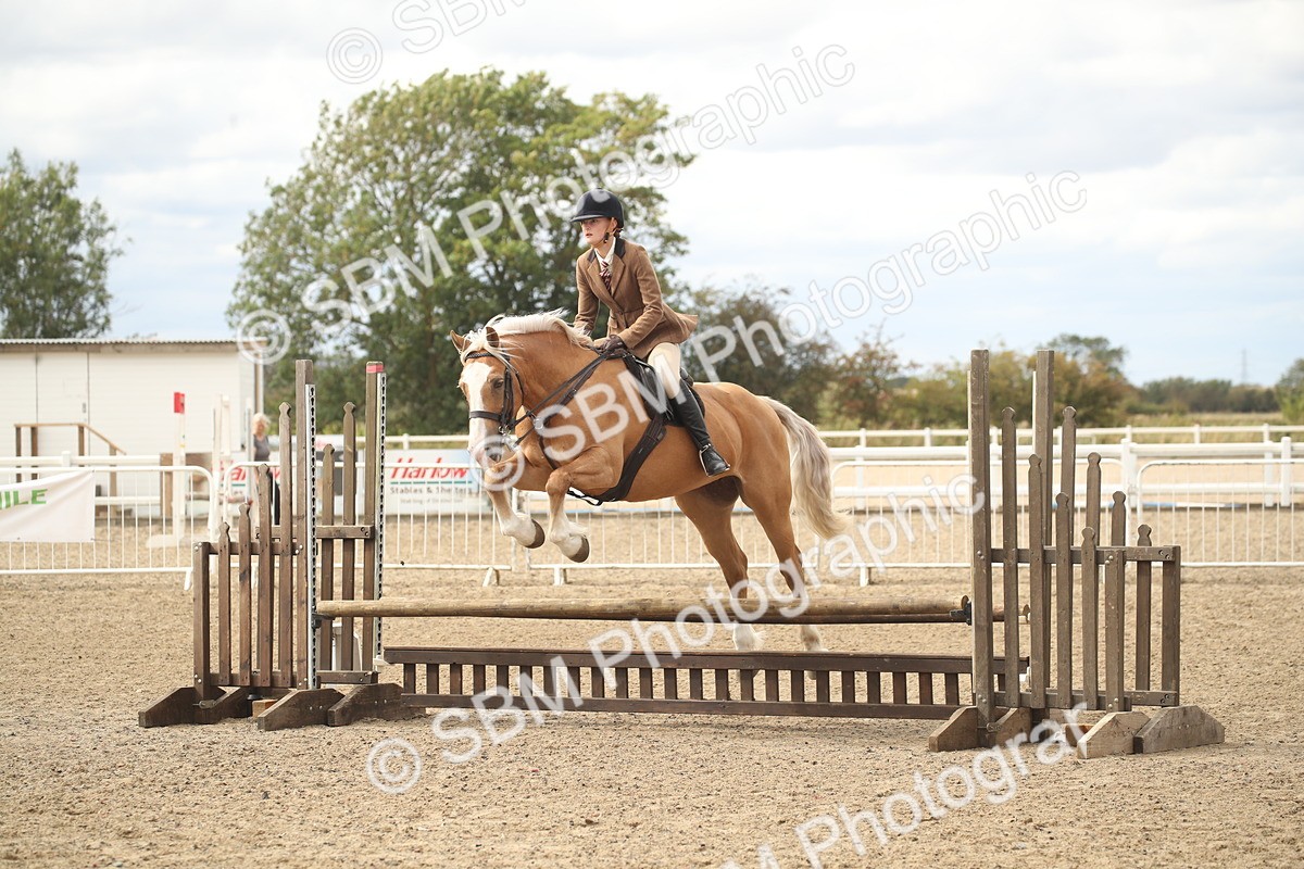 SBM_17676 - Class 508a - Working Veteran 70cm (15-19)