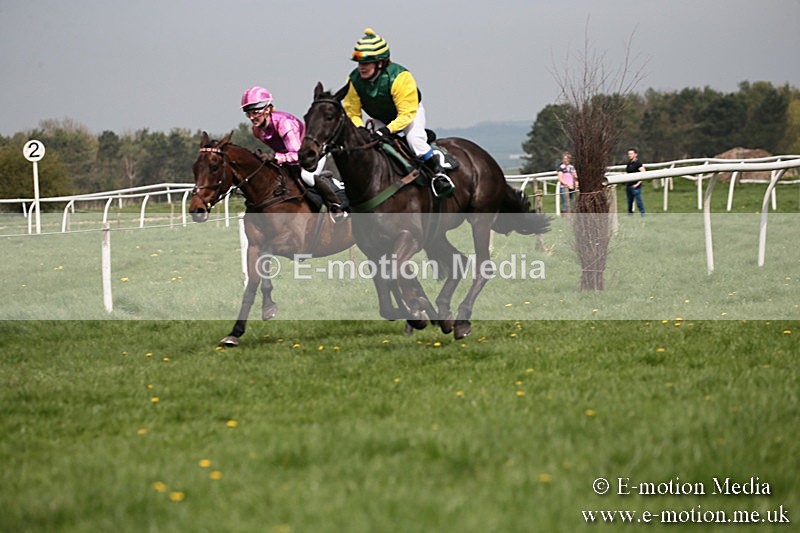 PtP 210418 27 - South & West Wilts Point-to-Point Larkhill 21/04/18