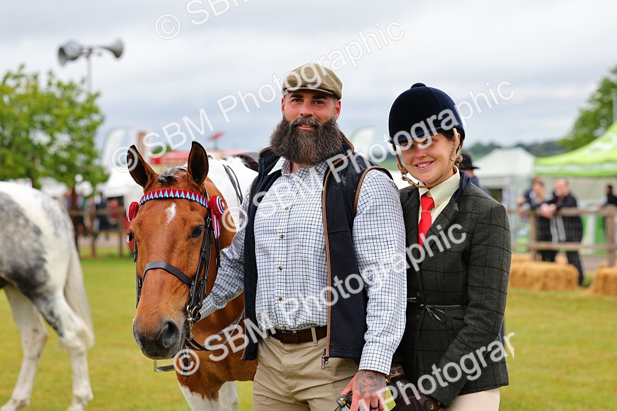SBM_02536 - Class 9-11 Side Saddle including LIHS Rising Star Ladies Show Horse