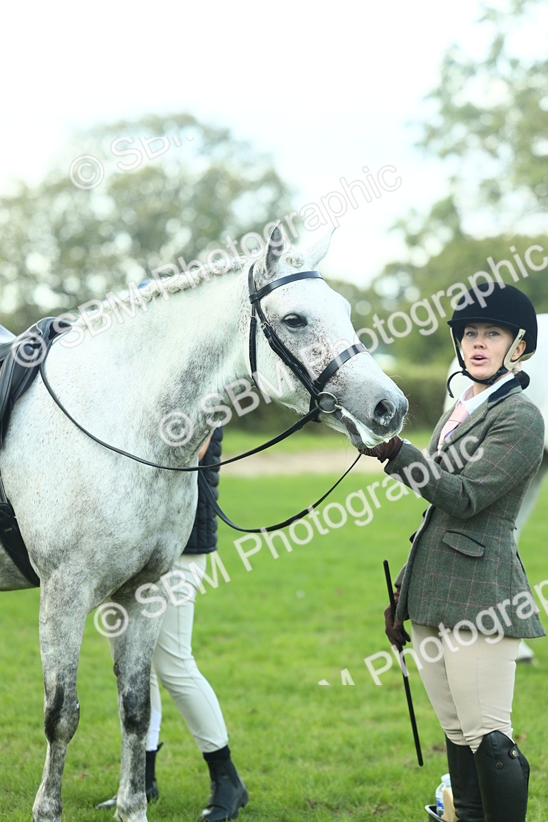 SBM_50741 - S33 - Working Hunter & Working Show Horse