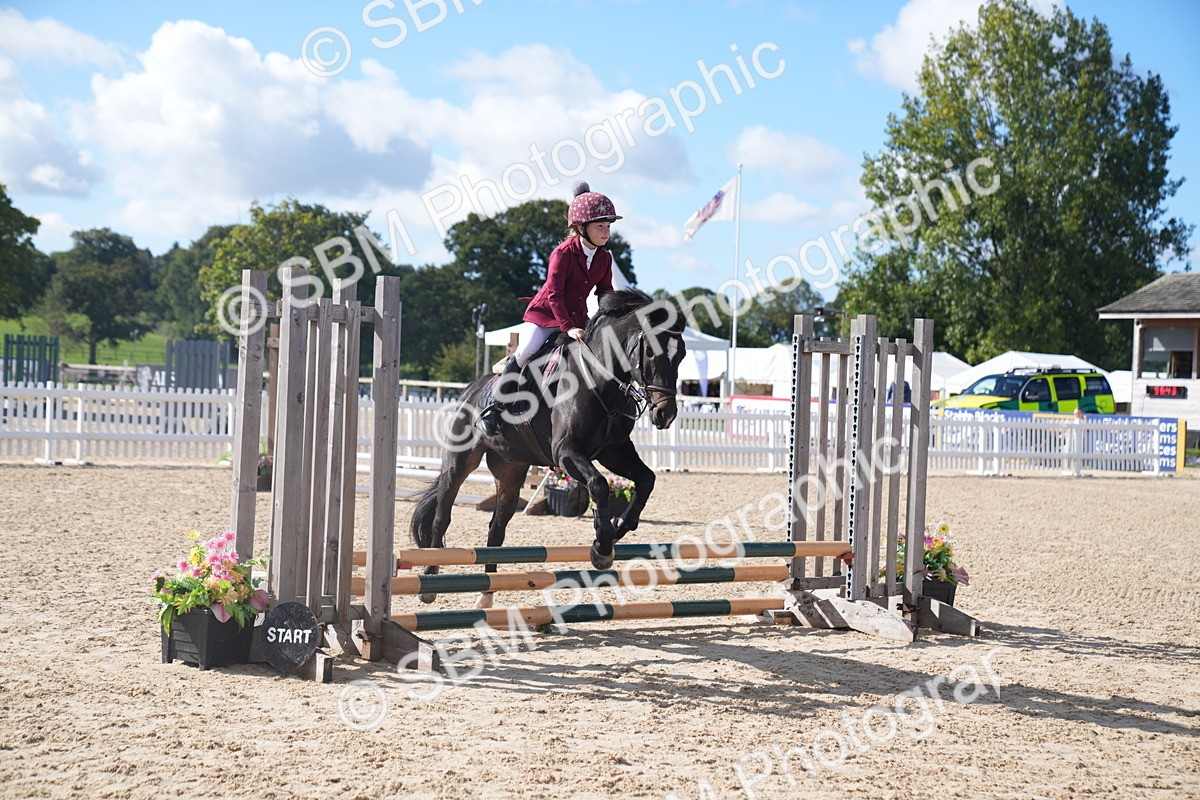 SBM_02436 - J54 Clear Round 45cm