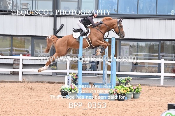 BPP_0353 - CLASS 26 SUN 5 Year Old Non Qualifier
