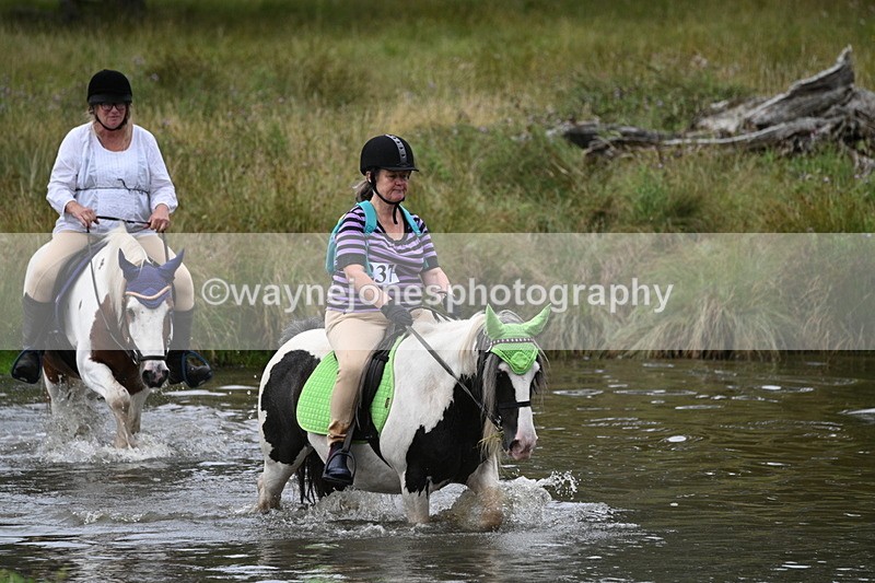 WJ7_2223 - Time at Water 11:14 to 11:36