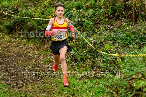 WestRLY25-911849 - Young Male Set Two