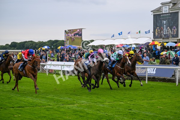 120724-Race 2-Flora Of Bermuda-5825 - Race 2 2.40pm William Hill Summer Stakes