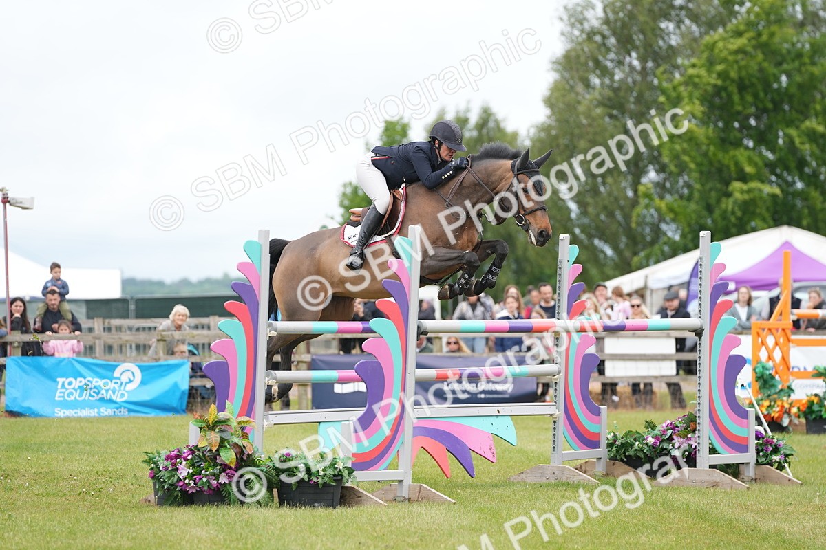 SBM_03074 - Class 201 - British Horse Feeds Speedi Beet Horse of the Year Show Grade  C