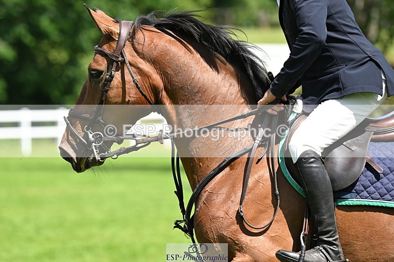 250615A-143413-11563 - Cls 39 Bicton 5YO