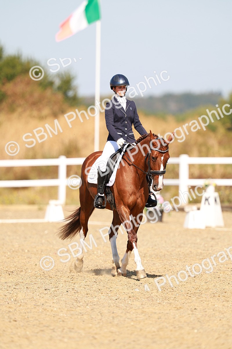 SBM_017603 - Class 9 - N5 Bronze 10.33.11.36