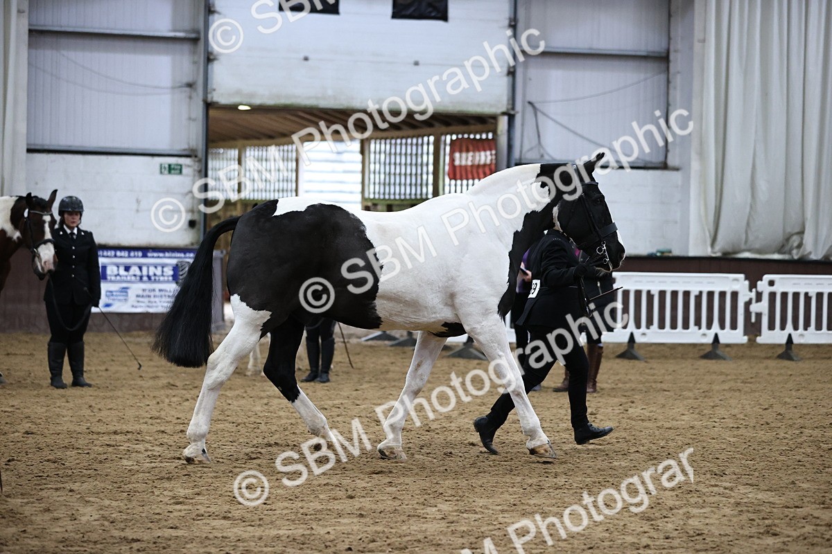 SBM_5279 - Class 32 - In Hand Cob Type